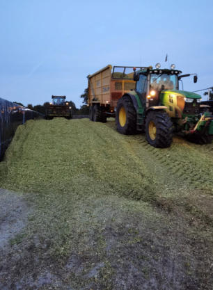 melkveebedrijf-oldenburger.nl