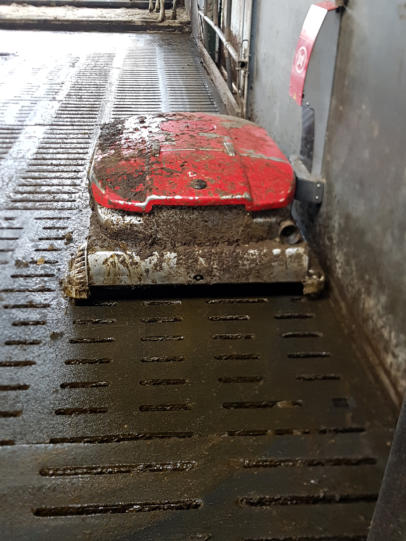 melkveebedrijf-oldenburger.nl