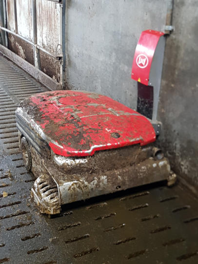 melkveebedrijf-oldenburger.nl